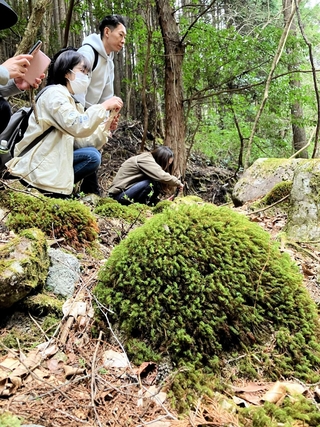 大きく育ったヒノキゴケの群生に見入るツアーの参加者たち＝朝来市生野町猪野々