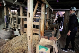 吉田真佐子さんの生家では「まや」と呼ばれる牛小屋を見学した＝香美町小代区新屋