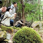 大きく育ったヒノキゴケの群生に見入るツアーの参加者たち＝朝来市生野町猪野々