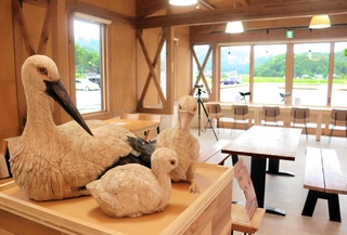 地元ゆかりの木彫作家、はしもとみおさんのコウノトリの作品を展示する店内。窓際の望遠鏡で実物を観賞しながらコーヒーを味わえる＝豊岡市祥雲寺