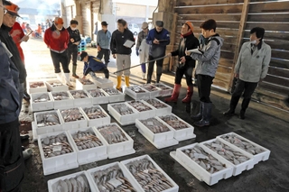 沖合底引き網漁の競りに並んだ魚＝４月、香住漁港西港