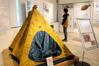植村直己さんの北極圏の冒険を紹介する企画展で、現地で使われたテントの一つを初公開している＝豊岡市日高町伊府