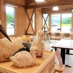 地元ゆかりの木彫作家、はしもとみおさんのコウノトリの作品を展示する店内。窓際の望遠鏡で実物を観賞しながらコーヒーを味わえる＝豊岡市祥雲寺