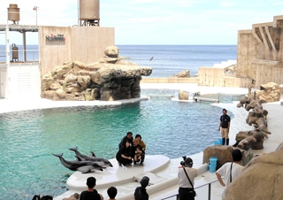 海との一体感が増したイルカショーの会場＝豊岡市瀬戸、城崎マリンワールド