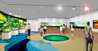 展示室の完成イメージ図。オオサンショウウオの飼育水槽もある（朝来市教育委員会提供）