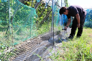 アライグマの鼻先が当たる位置に電気を流す防護柵＝豊岡市出石町伊豆