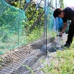 アライグマの鼻先が当たる位置に電気を流す防護柵＝豊岡市出石町伊豆