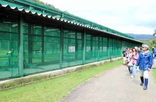 「郷公園デー」で見学コースの一つとなっている通常は非公開のコウノトリ飼育ケージ＝豊岡市祥雲寺