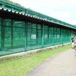 「郷公園デー」で見学コースの一つとなっている通常は非公開のコウノトリ飼育ケージ＝豊岡市祥雲寺