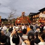 三つどもえで盛り上がりを見せるセリ＝豊岡市城崎町湯島