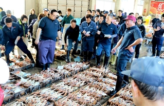 初競りにかけられるカニ＝豊岡市津居山