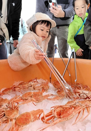 セコガニのつかみ取りに挑戦する子どもら＝豊岡市瀬戸