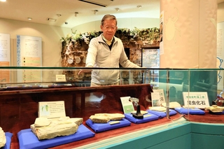 数十種類の昆虫化石が並ぶ「おもしろ昆虫化石館」の展示室＝新温泉町千谷