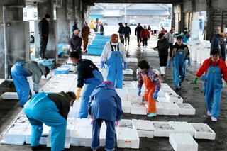 沖合底引き網漁の競りに並んだ魚＝２０２５年４月３日、香住漁港西港