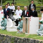 秋篠宮ご夫妻のテープカットで野生復帰に向けて木箱から放たれた第一号のコウノトリ＝２００５年９月２４日、県立コウノトリの郷公園