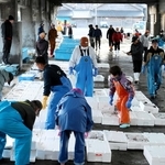 漁獲量、過去最低7119トン、初の8000トン割れ　産出額は91億808万円　25年の但馬地域