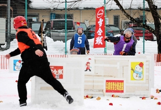 雪合戦を楽しむ参加者＝香美町小代区実山