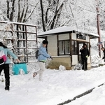 雪遊びをしながらバスを待つタイからの観光客たち＝豊岡市日高町栗栖野