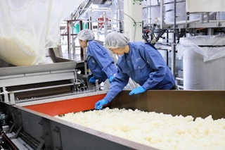 田植えや収穫を手がけた酒米が蒸し上がり、状態を確認する参加者たち＝香美町香住区小原