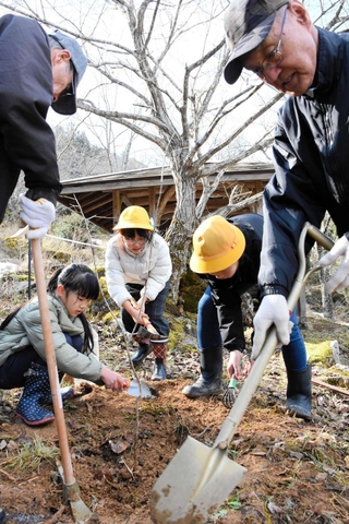 保存会員の手助けを受けてヤマザクラの苗を植える児童たち＝立雲峡