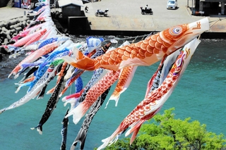 香美町香住区鎧で昨年実施された海上を泳ぐこいのぼりイベントの様子