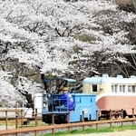 春を迎え、体験乗車会が再開された一円電車＝養父市大屋町明延