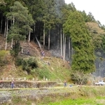 豊岡市内の火災発生　今年は既に21件、前年の2倍超　あぜ焼き延焼など「その他火災」目立つ