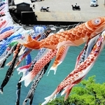 香美町香住区鎧で昨年実施された海上を泳ぐこいのぼりイベントの様子