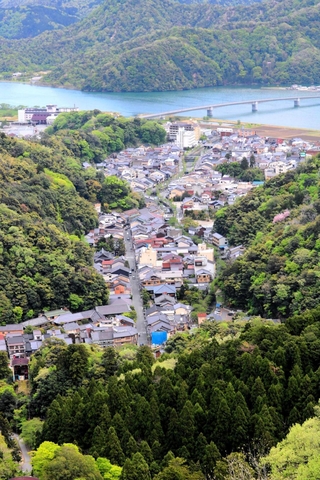 山あいに木造の建物が密集している城崎温泉街＝豊岡市城崎町湯島