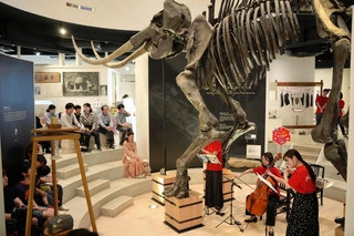 演奏を楽しむ観客＝豊岡市赤石