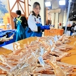 水揚げされて競り場に並んだ松葉ガニ＝昨年１１月、浜坂漁港