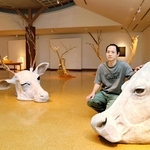 東影智裕さんが約２０年間に手がけた作品が並ぶ＝朝来市多々良木