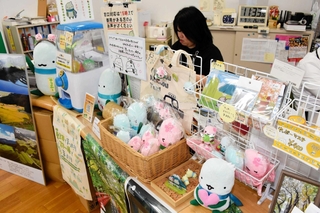 やっぷーとやっぴーのぬいぐるみが所狭しと並ぶ＝やぶ市観光協会観光案内所