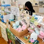 やっぷーとやっぴーのぬいぐるみが所狭しと並ぶ＝やぶ市観光協会観光案内所