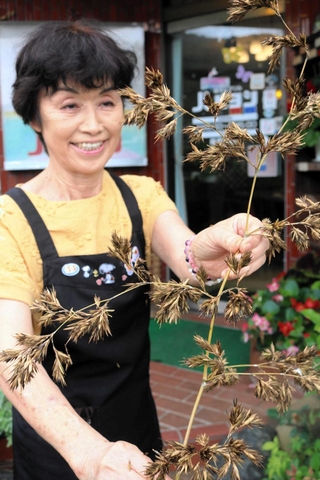 国道沿いの喫茶店「パピヨン」のそばでハチクの花が咲き、店先に飾った＝豊岡市出石町寺坂