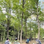 森林整備の現場を見学するモニターツアーの参加者たち＝豊岡市日高地域（日高神鍋観光協会提供）