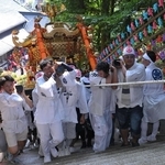 神輿を担いで石段を登る男衆＝宇都野神社