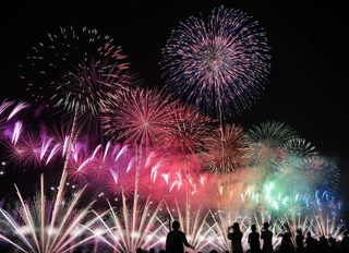 打ち上がった大輪の花火＝豊岡市立野町