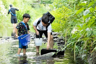 モニタリング部のメンバーと地域住民らが大谿川を調査した＝豊岡市城崎地域（イガキフォトスタジオ撮影、ＫＩＡＣ提供）