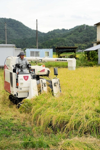 新米を収穫する農家＝豊岡市上鉢山