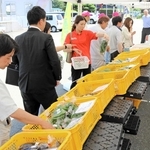 就労継続支援Ｂ型事業所「ドーナツワークス」の利用者らが丹精して育てた野菜を買い求めるタジマ食品工業の従業員ら＝豊岡市日高町東芝