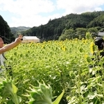 ヒマワリ畑の中で撮影する今西優一さん（左）＝豊岡市但東町畑山
