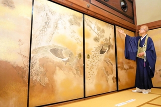 修復された「隆国寺障壁画」の一つ、「老松孔雀図」＝豊岡市日高町荒川