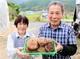 ６０年にわたってシイタケを栽培する畠山弘さん（右）と妻のすま子さん＝朝来市和田山町久田和