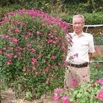 田中廣さんが丹精して育てた菊＝香美町村岡区口大谷