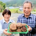 ６０年にわたってシイタケを栽培する畠山弘さん（右）と妻のすま子さん＝朝来市和田山町久田和