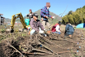 丹波栗の苗木の出荷準備を行う丹波栗苗木生産組合の組合員ら＝丹波市春日町小多利
