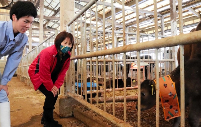 モーっとねっくを巻いた子牛を見守る大槻恵美取締役（右）と田中悠斗さん＝但馬農業高校