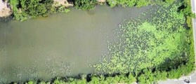 ２０２０年５月２９日　ドローンで撮影した南堀（農都ささやま外来生物対策協議会提供）