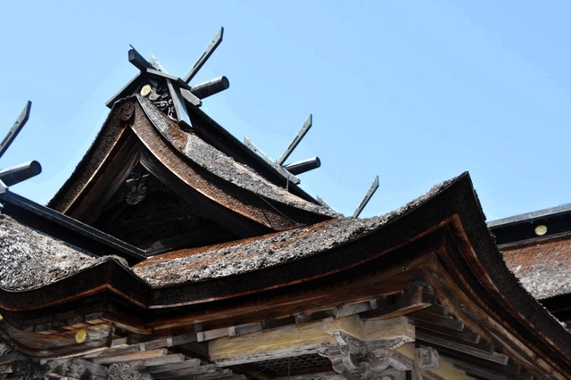 ふき替えを予定している檜皮ぶきの屋根＝丹波市柏原町柏原、柏原八幡宮